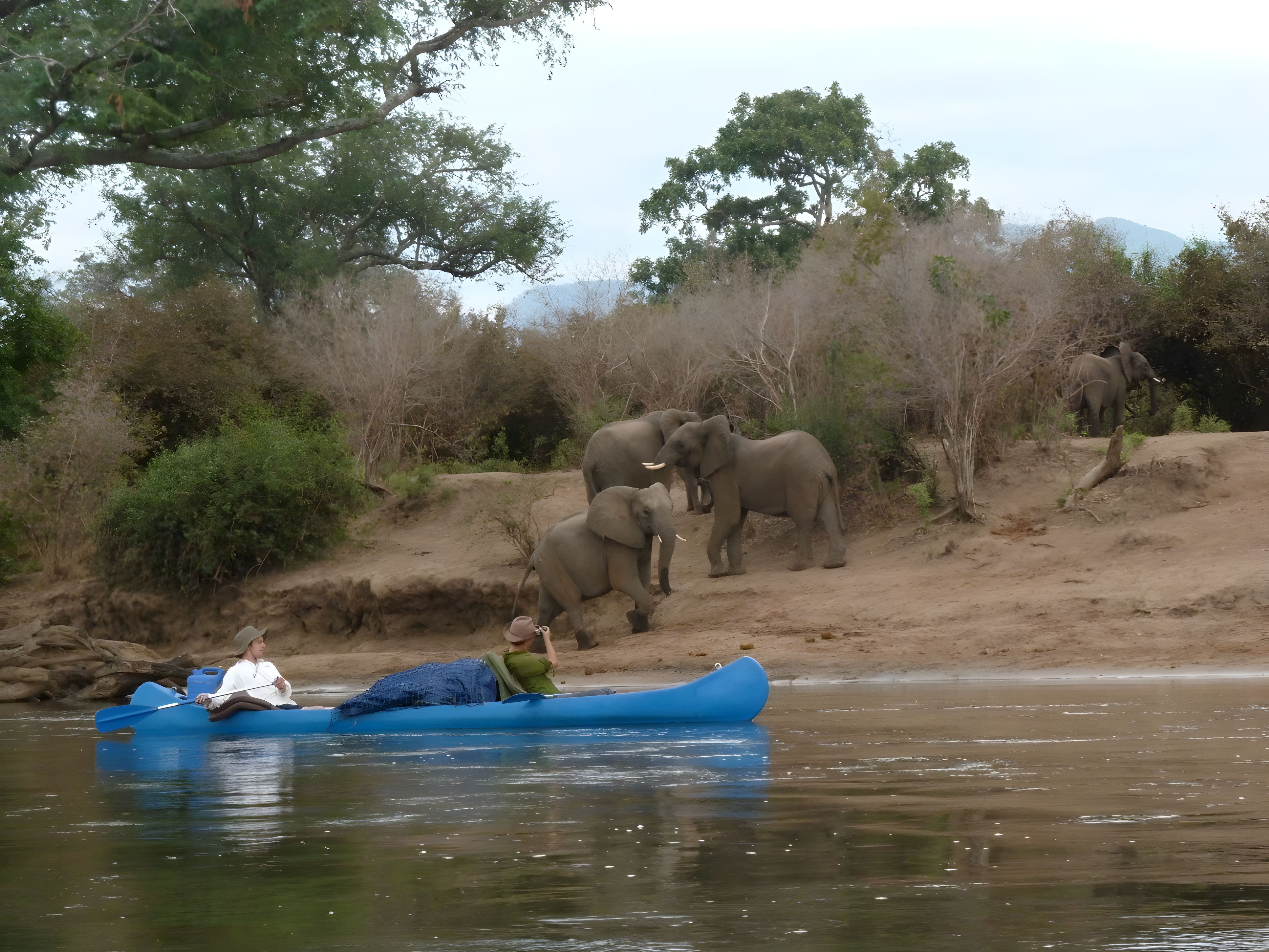 Canoeing on the Zambezi - Photo by Dr Hobo from a different Canoe trip Canoeing near elephants on the Zambezi