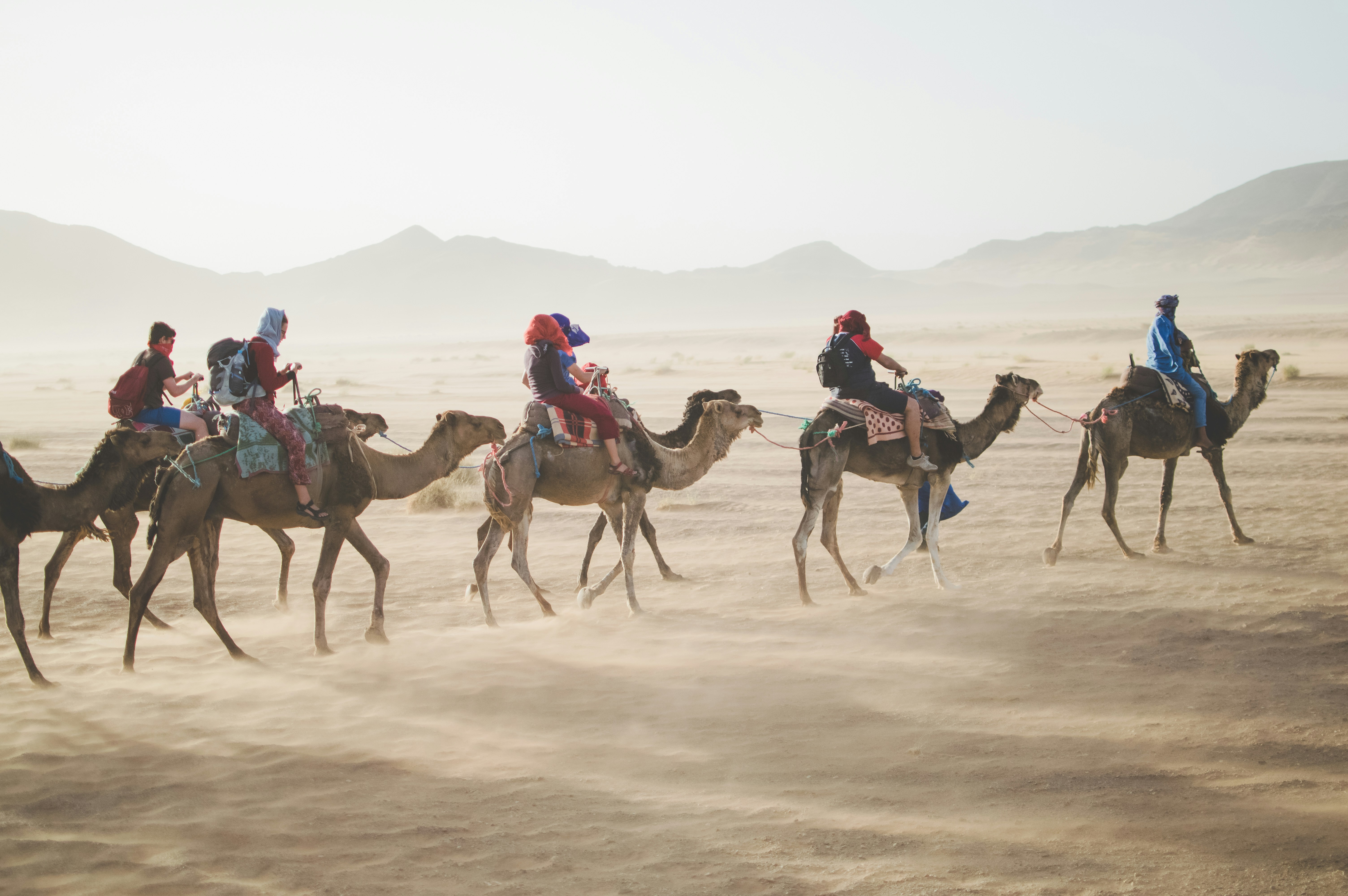 A camel caravan on the backpacker trail